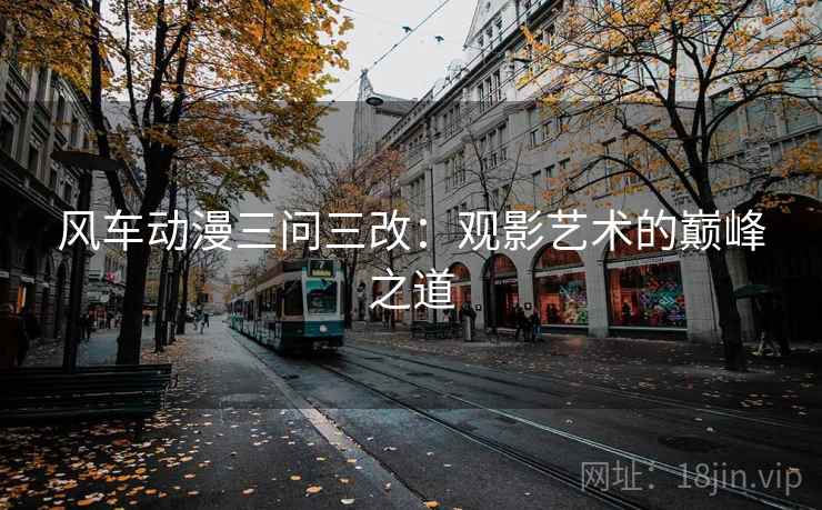 风车动漫三问三改:观影艺术的巅峰之道